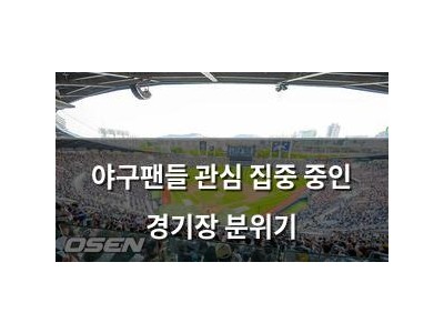 야구팬들 관심 집중 중인 경기장 분위기