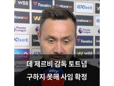 데 제르비 감독 토트넘 구하지 못해 사임 확정