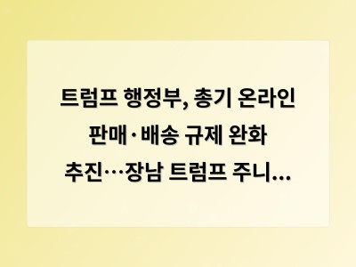 트럼프 행정부, 총기 온라인 판매·배송 규제 완화 추진…장남 트럼프 주니어 '이해충돌' 논란