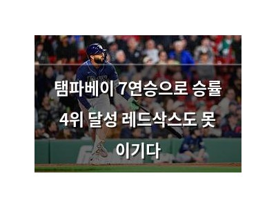탬파베이 7연승으로 승률 4위 달성 레드삭스도 못 이기다