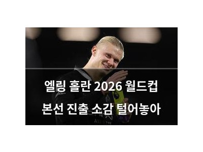 엘링 홀란 2026 월드컵 본선 진출 소감 털어놓아