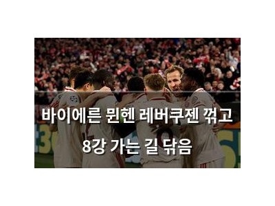 바이에른 뮌헨 레버쿠젠 꺾고 8강 가는 길 닦음
