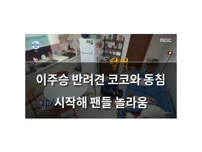 이주승 반려견 코코와 동침 시작해 팬들 놀라움