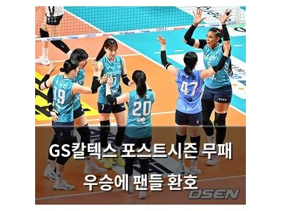 GS칼텍스 포스트시즌 무패 우승에 팬들 환호