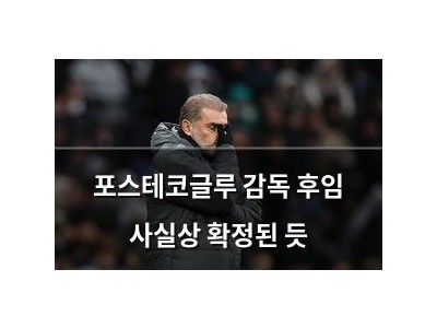 포스테코글루 감독 후임 사실상 확정된 듯