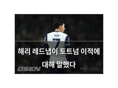 해리 레드냅이 토트넘 이적에 대해 말했다