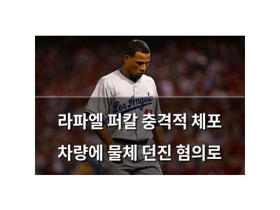 라파엘 퍼칼 충격적 체포 차량에 물체 던진 혐의로