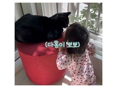 박수홍 김다예 부부 반려묘 다홍과 딸 재이의 귀여운 모습 공개